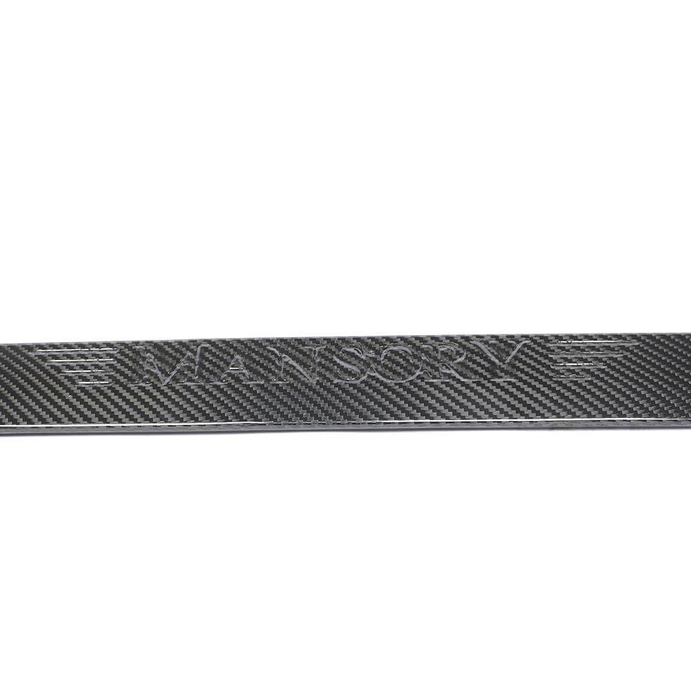 Mercedes Benz V Class W447 2018-2020 Rear Middle Spoiler Dry Carbon Fiber-Ahacarbon