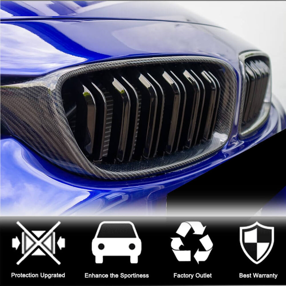 BMW 3 Series F30 2012-2018 Front Grille Carbon Fiber-Ahacarbon